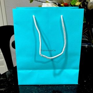 Authentic Tiffany & Co. Paper Gift Bag White Handles